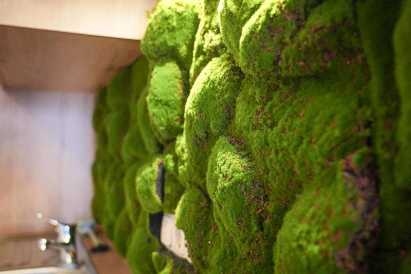 Ostsee43 - Ole Apartment